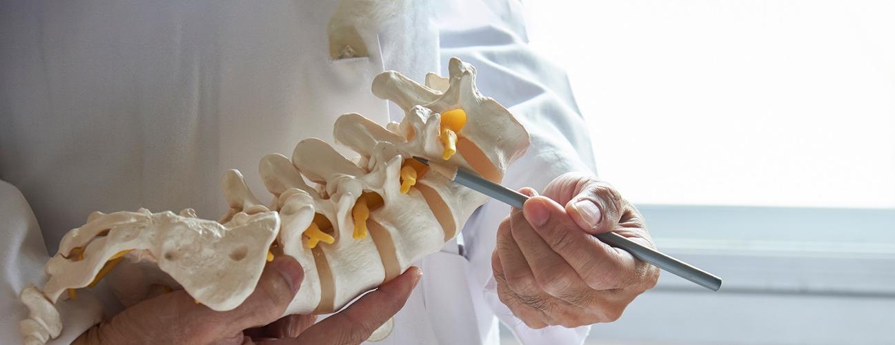 Doctor pointing to model of spine