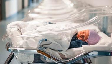 一个婴儿在医院的摇篮里休息