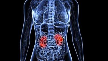 xray diagram of kidneys