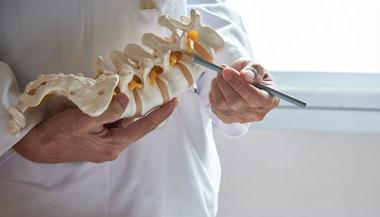 Provider pointing at a model of a spine