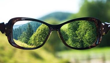处方眼镜在森林的背景下拿着