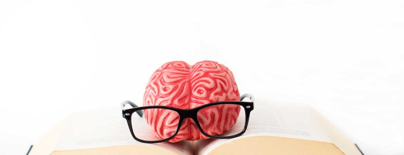 A model of a brain with glasses sitting on top of an open book